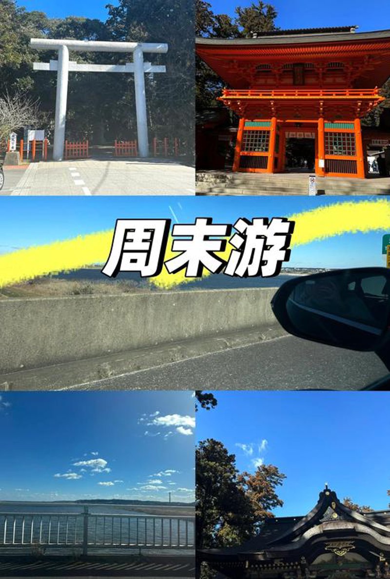 周末游